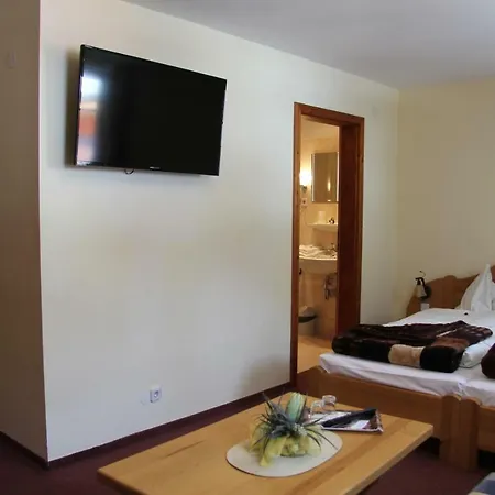 Hotel Hutmannshaus Hotel 3*